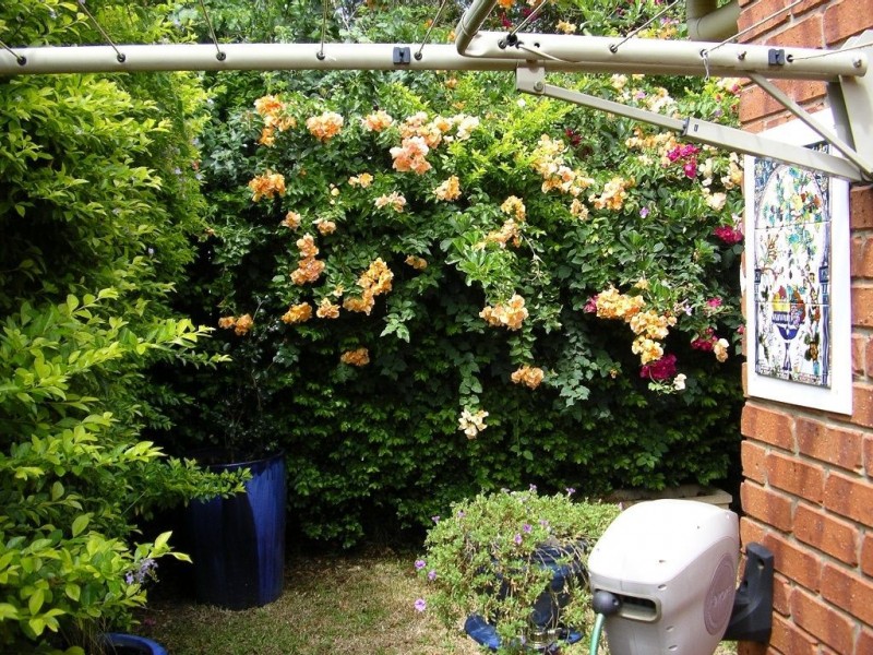 36 Medici Place, Forest Lake QLD 4078