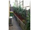 4 Amadeus Circuit, Springfield Lakes QLD 4300