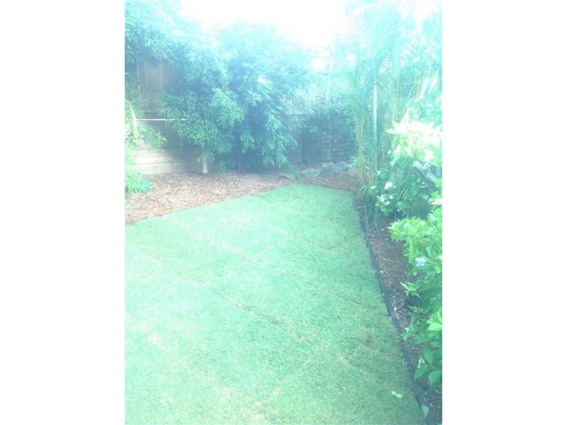 63 Pendula Circuit, Forest Lake QLD 4078