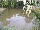 Park Ridge QLD 4125