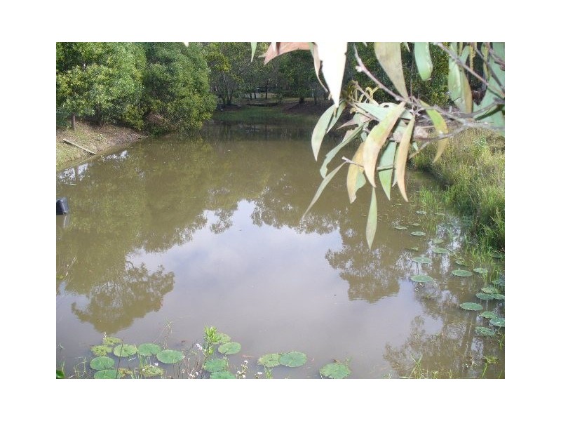 Park Ridge QLD 4125