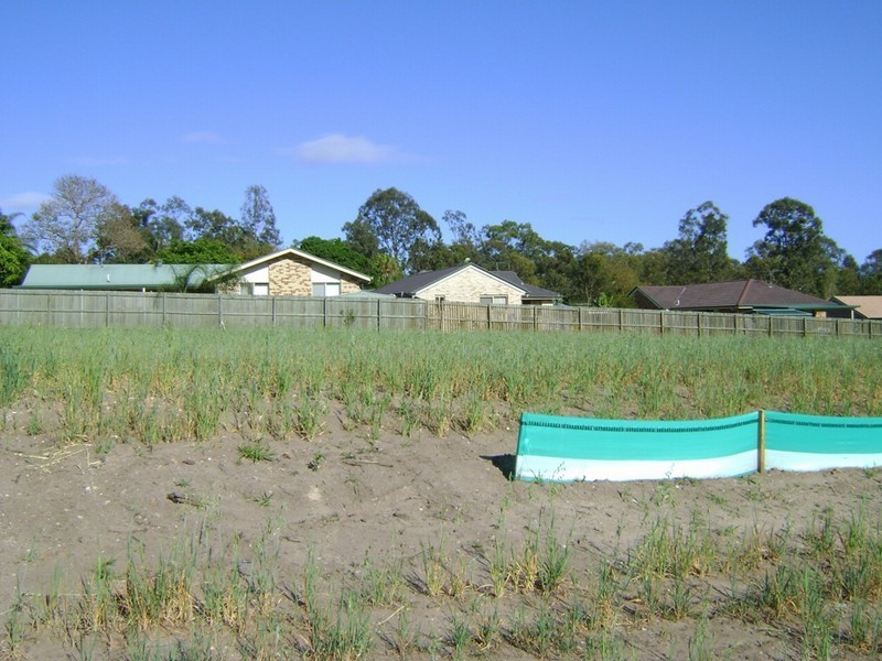 Boronia Heights QLD 4124