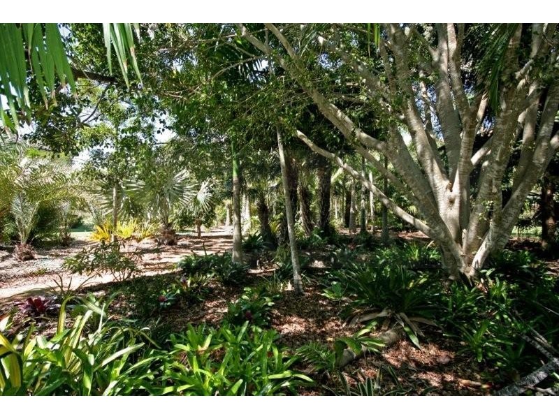 82 Boulia St, Greenbank QLD 4124