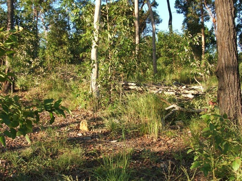 88 Macquarie Way, Drewvale QLD 4116