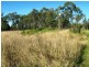 97 Teviot Rd, Greenbank QLD 4124