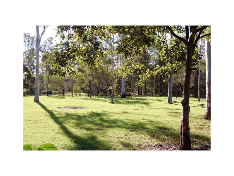 31 Smith Rd, Park Ridge South QLD 4125