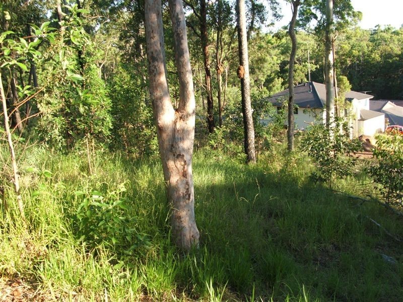 88 Macquarie Way, Drewvale QLD 4116