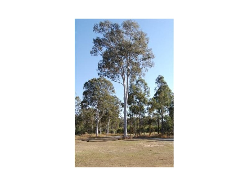 642 Middle Road, Greenbank QLD 4124