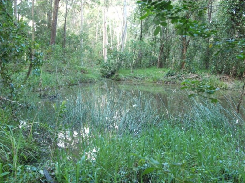 16 Cheviot Street, Greenbank QLD 4124