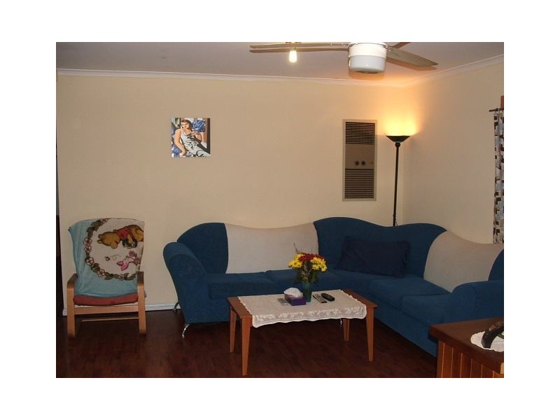 61 Begonia Street, Browns Plains QLD 4118