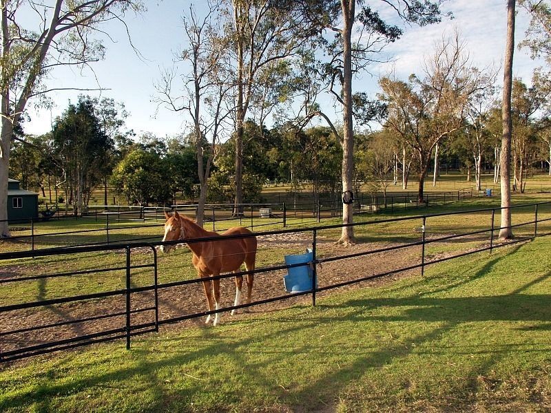 55-57 Dandaraga, Chambers Flat QLD 4133