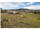 Biddaddaba QLD 4275
