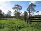 1229-1239 Chambers Flat Road, Chambers Flat QLD 4133