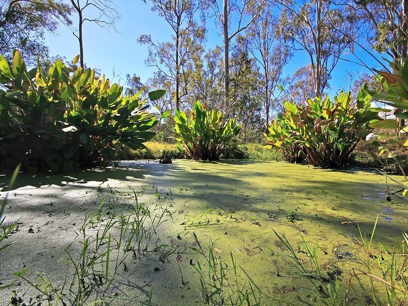 58 Smith Road, Park Ridge South QLD 4125