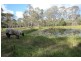 44 Quinzeh Creek Road, Logan Village QLD 4207