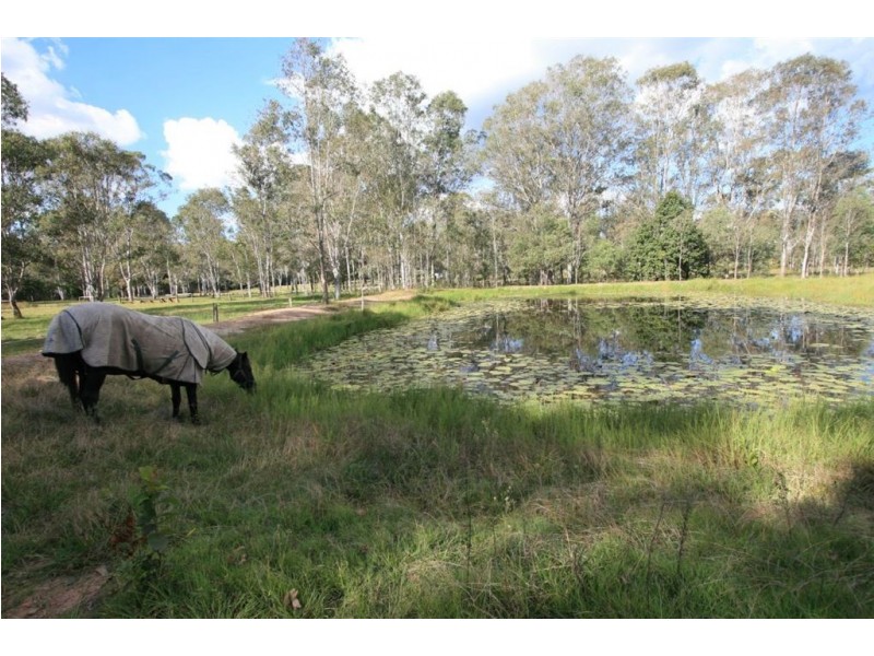44 Quinzeh Creek Road, Logan Village QLD 4207