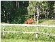 94 Niddoes Gap Road, Kuttabul QLD 4741