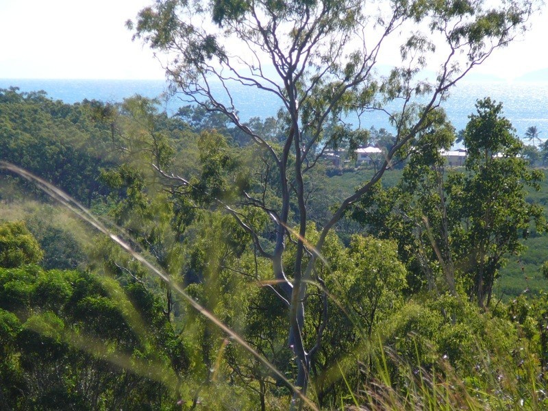 SP187353 View Court, Seaforth QLD 4741