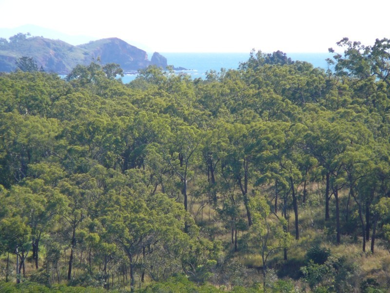 SP187353 View Court, Seaforth QLD 4741