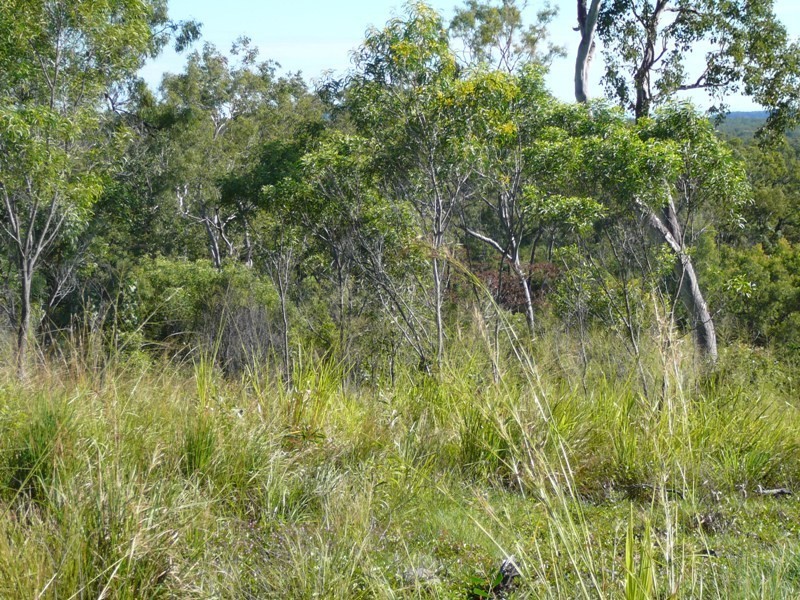 SP187353 View Court, Seaforth QLD 4741