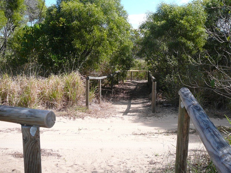 67 Corella Way, Blacks Beach QLD 4740