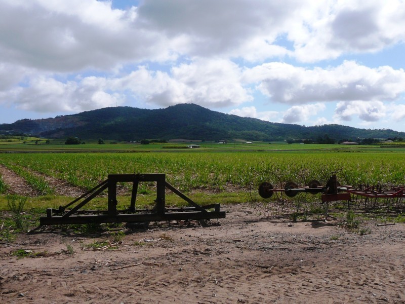 90 Knobels Road, Farleigh QLD 4741