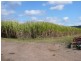 90 Knobels Road, Farleigh QLD 4741