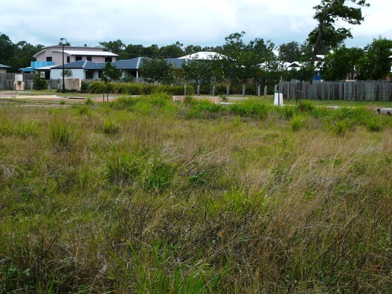 31 Corella Way, Blacks Beach QLD 4740