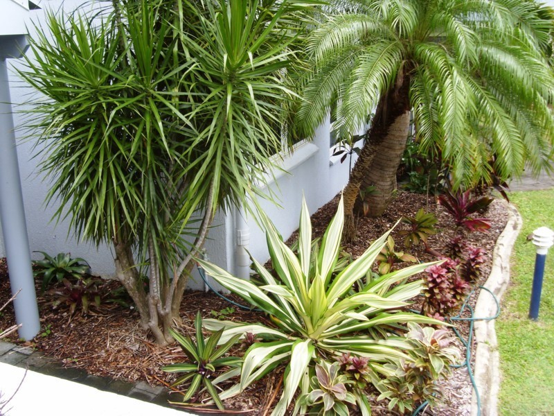 3/4 Prudhoe Street, East Mackay QLD 4740