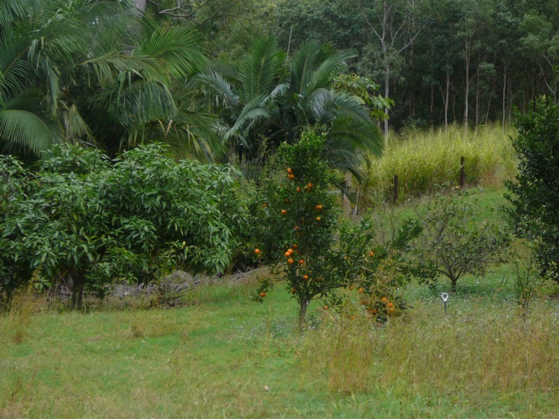 147 Andrew Fordyce Road, Mackay QLD 4740