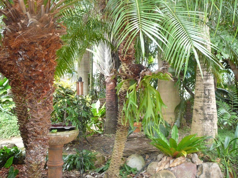 147 Andrew Fordyce Road, Mackay QLD 4740