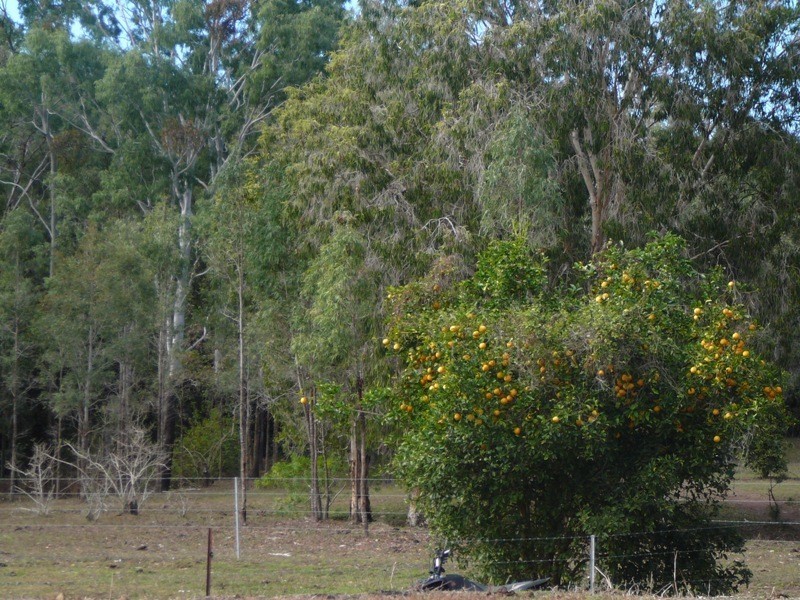 17 Andrew Fordyce Road, Mackay QLD 4740