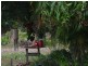 29 Milkins Street, Mackay QLD 4740
