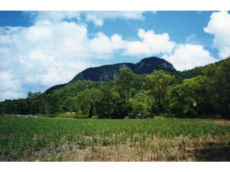 1988 Yakapari-Seaforth Road, Mackay QLD 4740