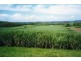 1988 Yakapari-Seaforth Road, Mackay QLD 4740