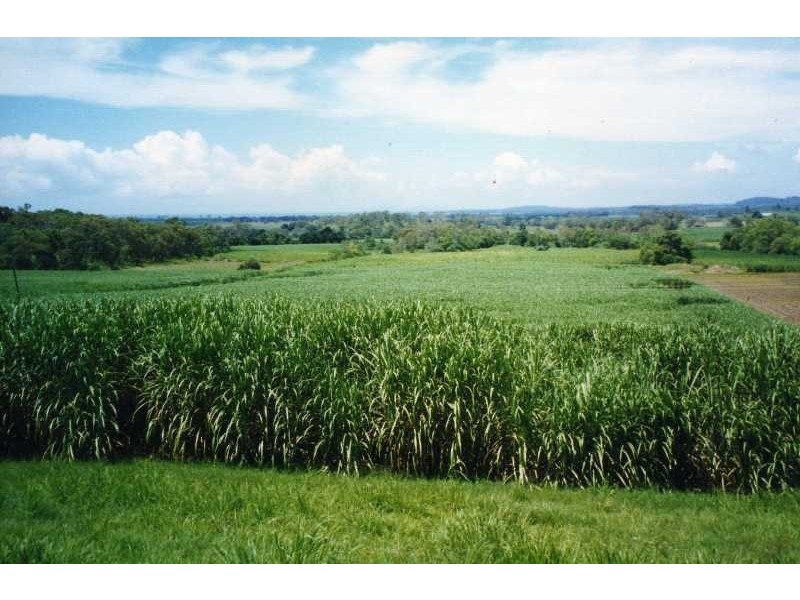 1988 Yakapari-Seaforth Road, Mackay QLD 4740