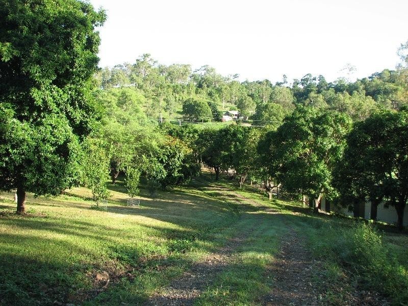 149 Andrew Fordyce Road, Seaforth QLD 4741