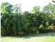 149 Andrew Fordyce Road, Seaforth QLD 4741