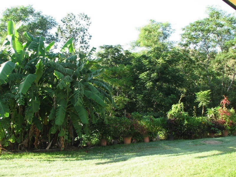 149 Andrew Fordyce Road, Seaforth QLD 4741