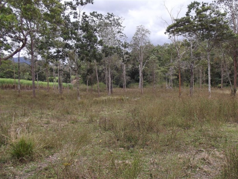Lot 1 Camilleris Road, Mount Charlton QLD 4741