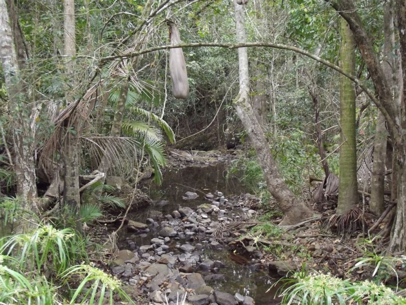 Lot 1 Camilleris Road, Mount Charlton QLD 4741