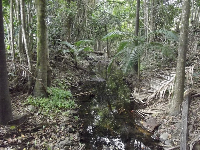 Lot 1 Camilleris Road, Mount Charlton QLD 4741