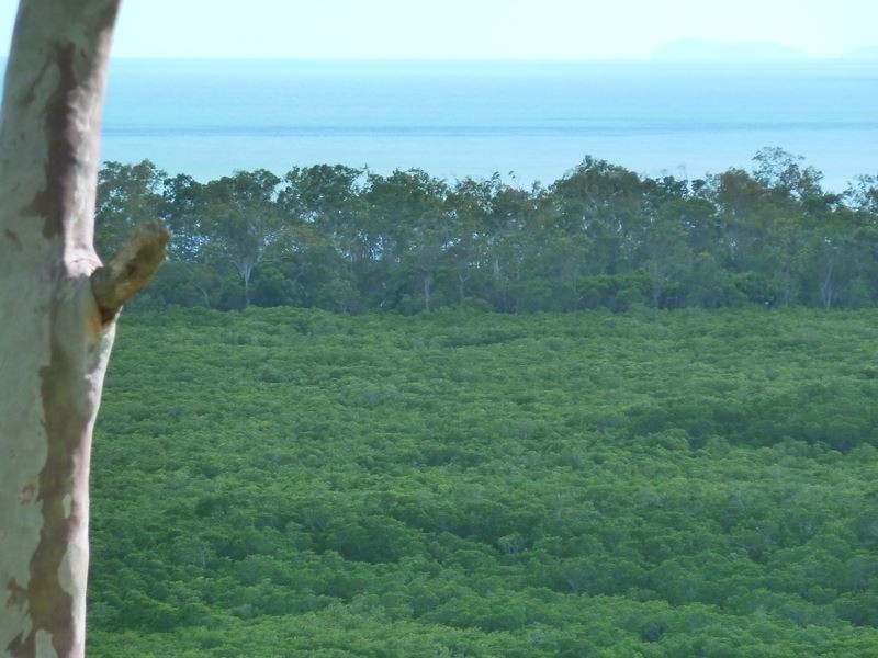 17 View Court, Seaforth QLD 4741