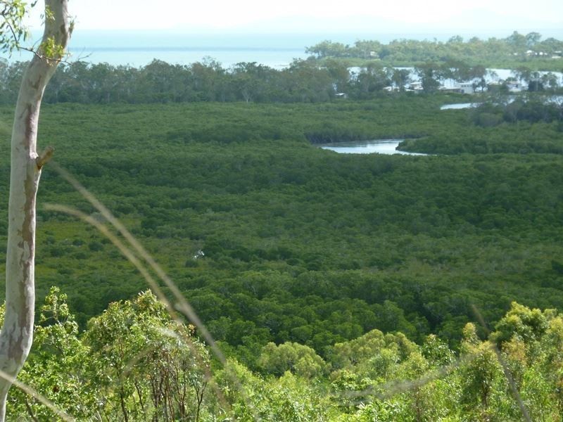 17 View Court, Seaforth QLD 4741