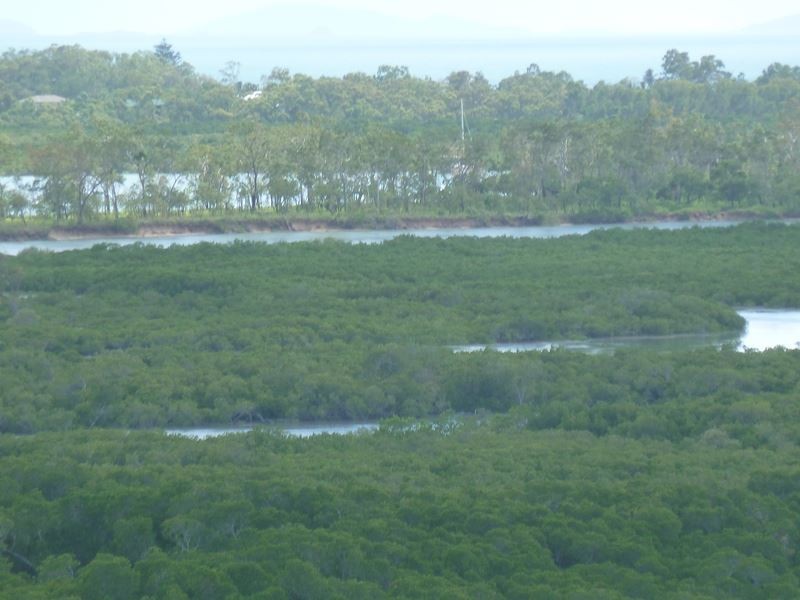 17 View Court, Seaforth QLD 4741