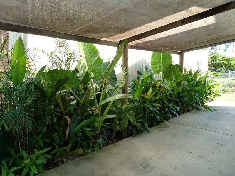 21 Evans Avenue, Seaforth QLD 4741