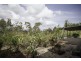 3 Blue Beach Boulevard, Haliday Bay QLD 4740