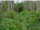 Lot 35 Kippen Drive, Ball Bay QLD 4741