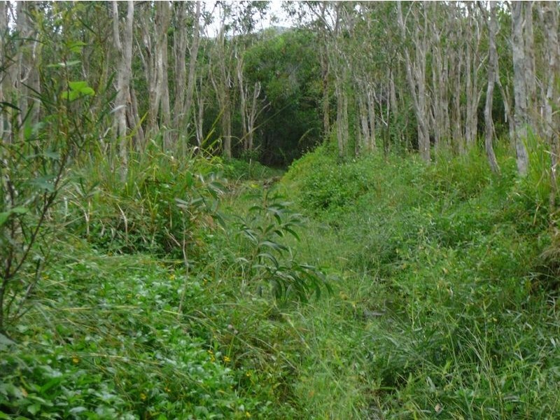 Lot 35 Kippen Drive, Ball Bay QLD 4741
