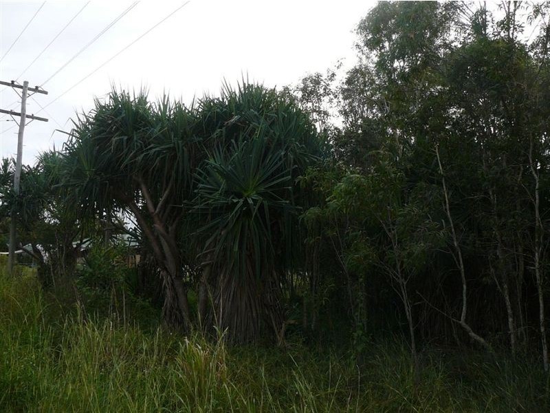 Lot 35 Kippen Drive, Ball Bay QLD 4741
